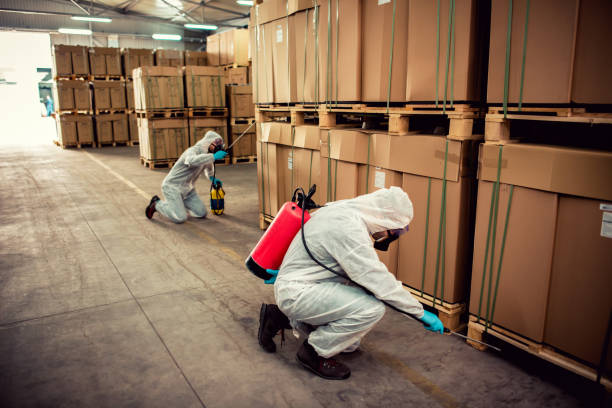 Reliable Wedgefield, FL Pest Control Solutions