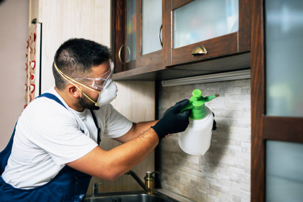 Best Exterminator Services  in Wedgefield, FL