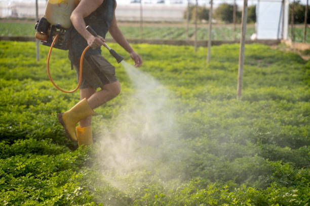 Best Best Pest Control Companies  in Wedgefield, FL