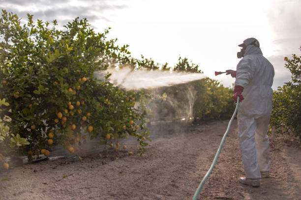 Best Cockroach Control Services  in Wedgefield, FL