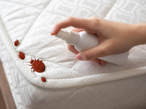  Wedgefield, FL Pest Control Pros